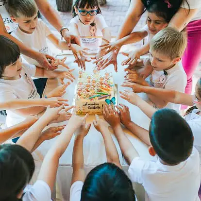 Abordarea educationala cresa