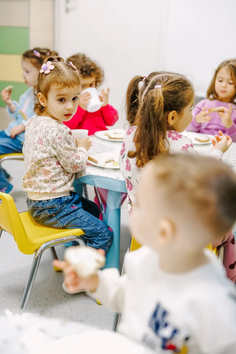 Alimentație echilibrată